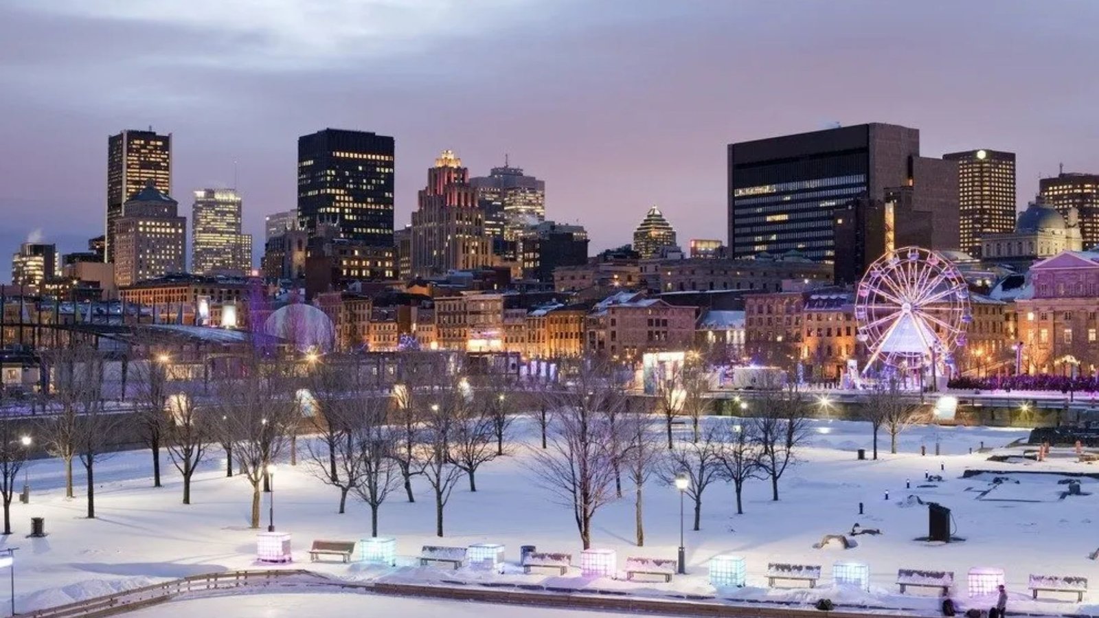 Check Out Winter Festivals and Events