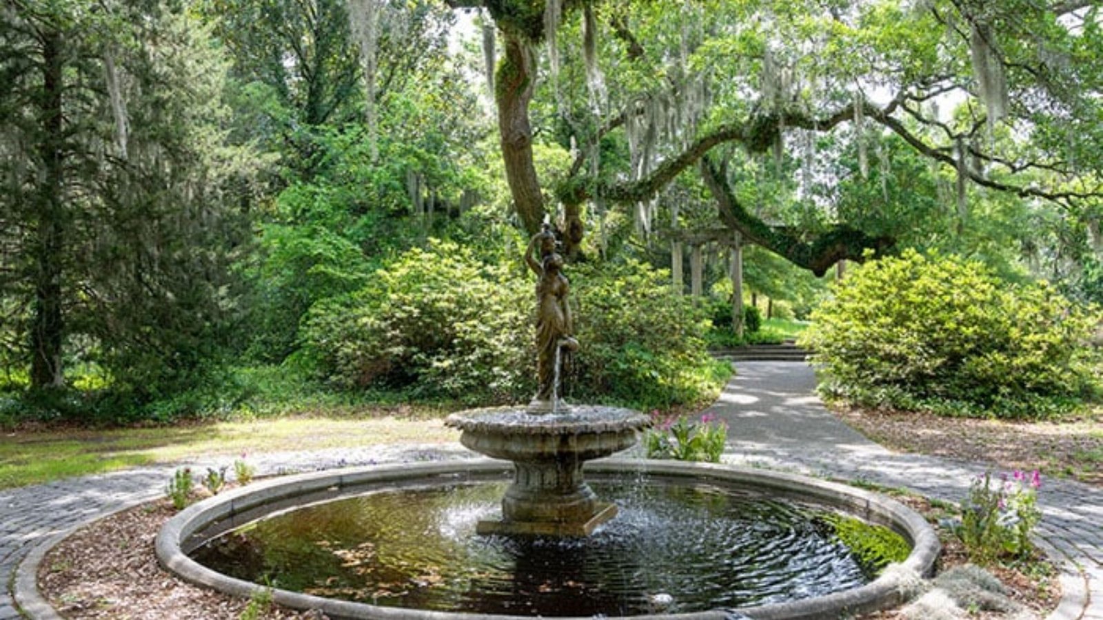 Find Out Airlie Gardens