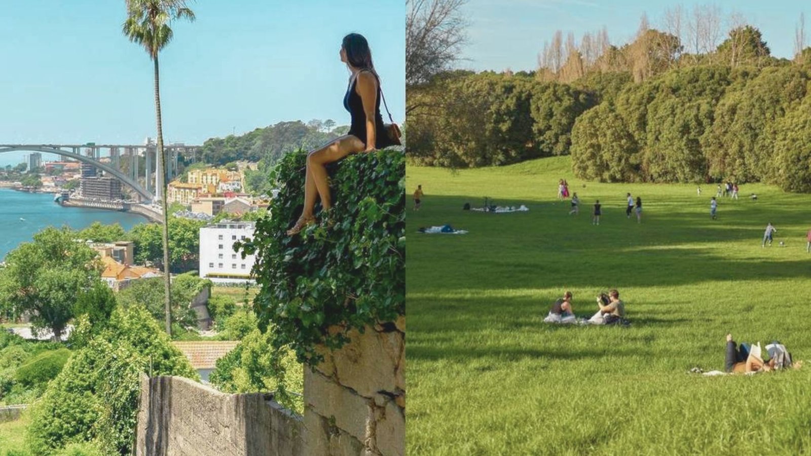 Gardens and Outdoor Spaces