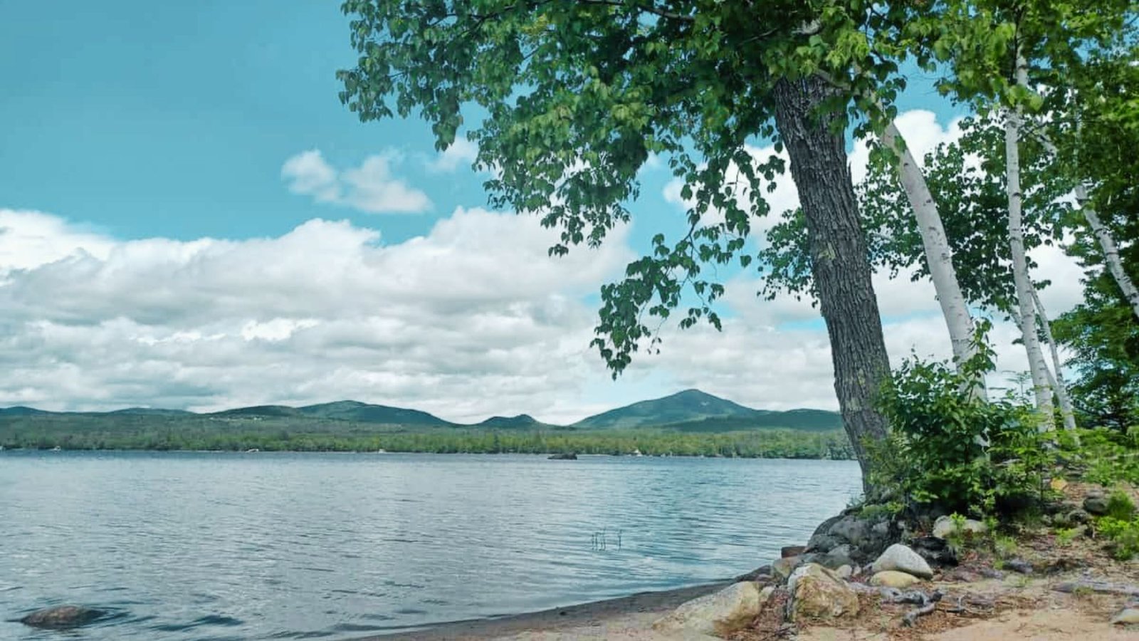 Family Friendly Features