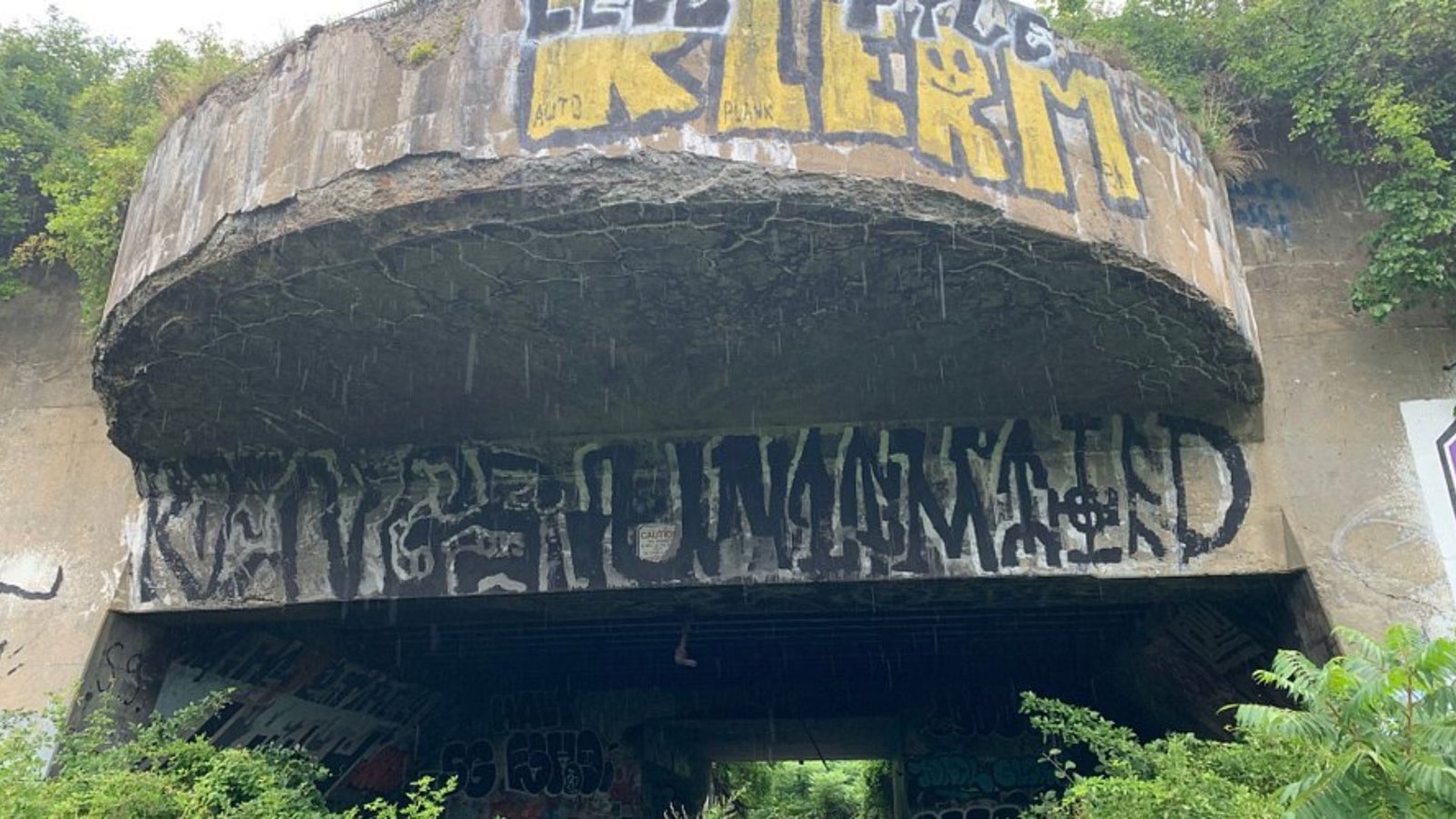 Check Out Battery Steele