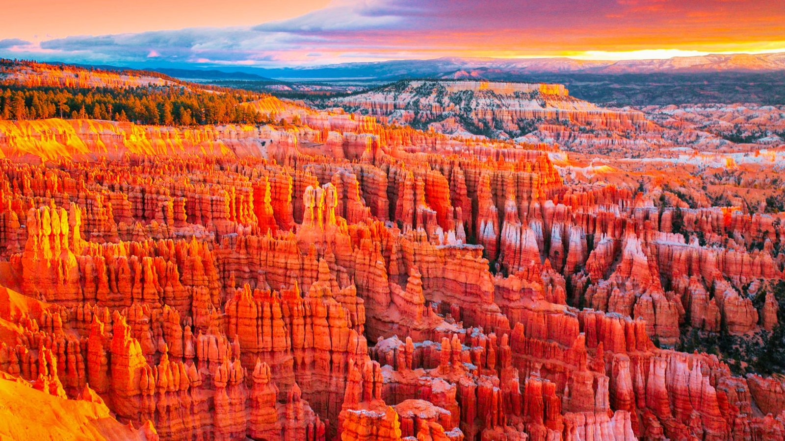 One Day in Bryce Canyon
