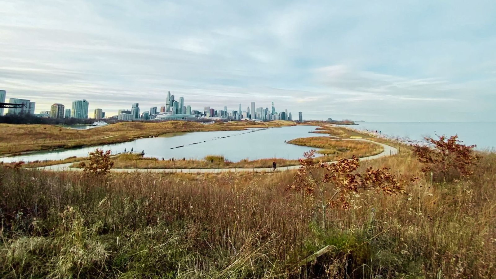 Northerly Island Park: Official Chicago Park District Info