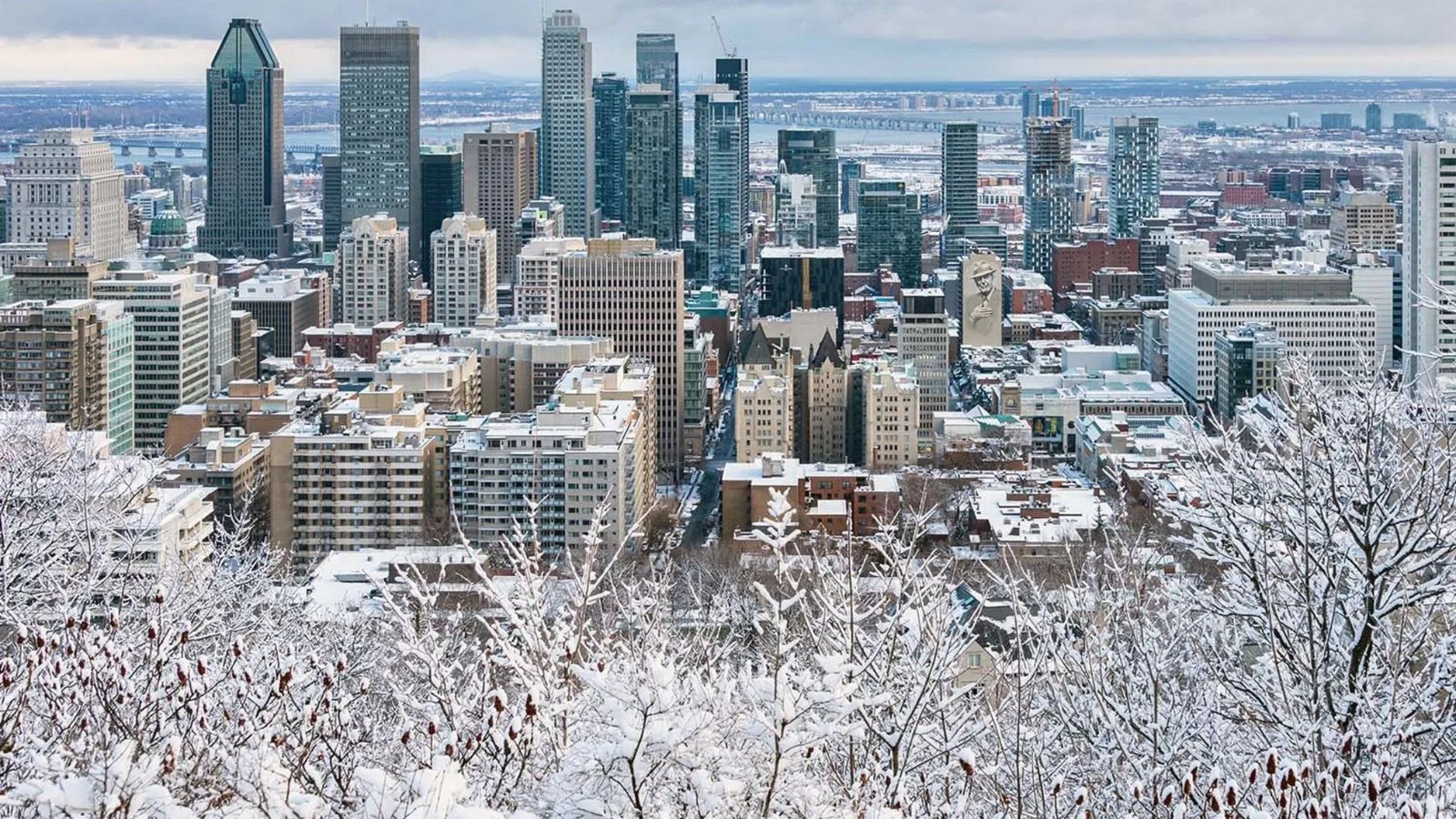 Wander Through Colorful Neighborhoods