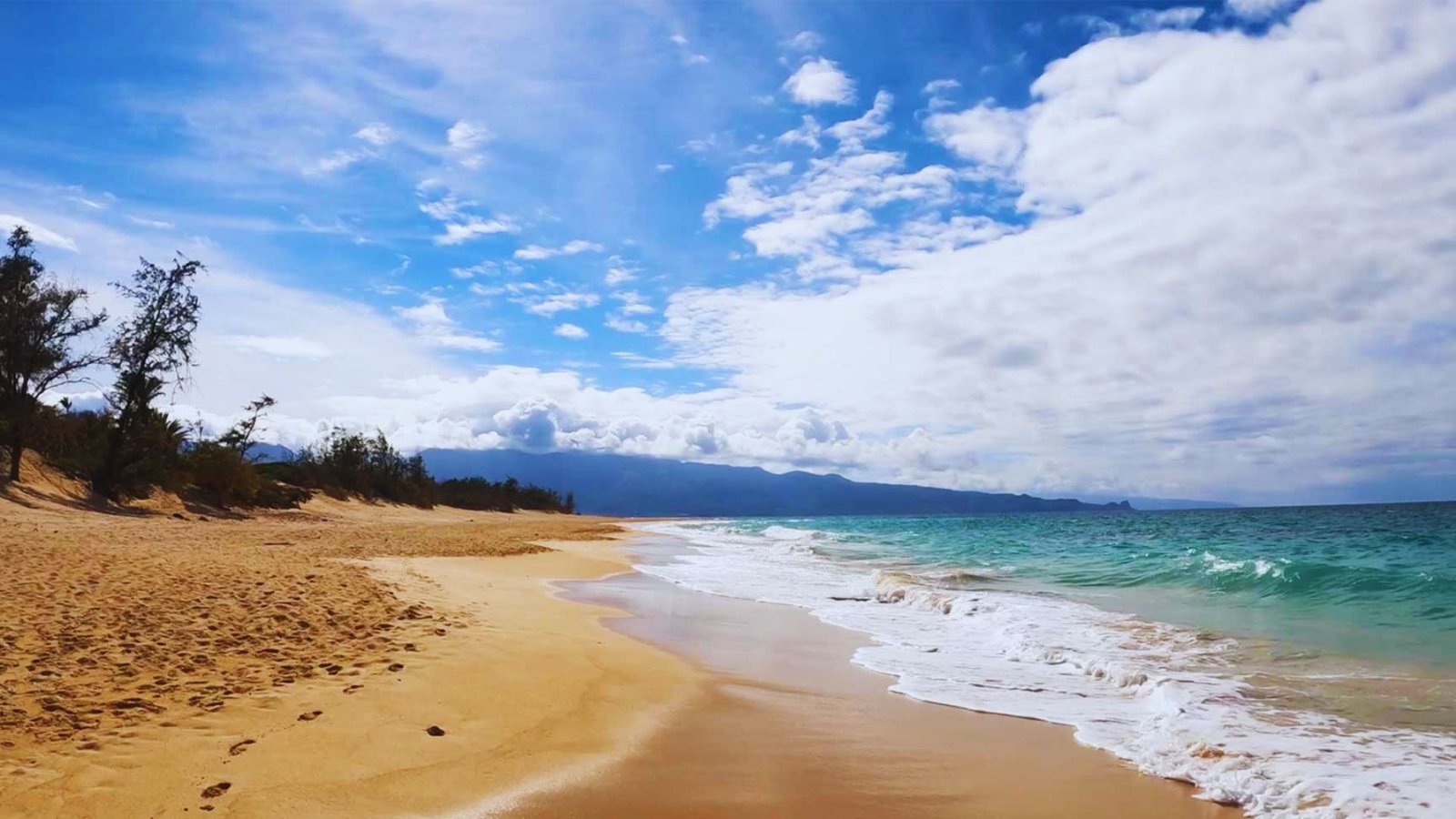 Central Maui & North Shore