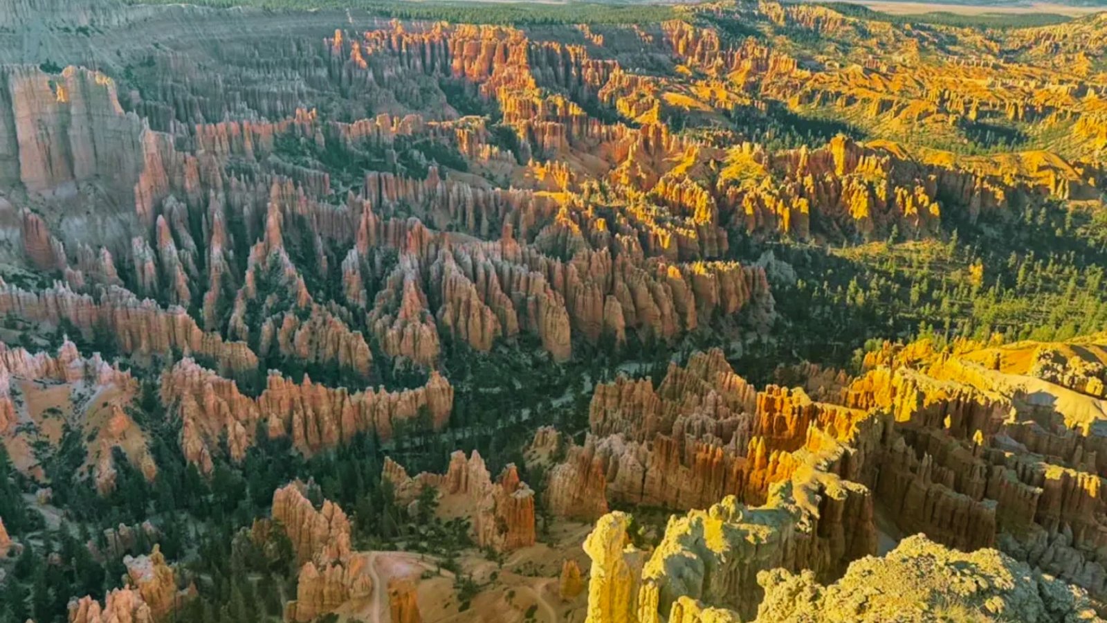 Lunch Break and Midday Rest