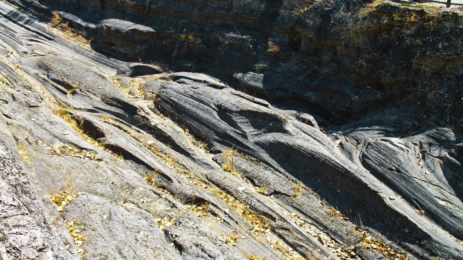 Glacial Grooves State Memorial